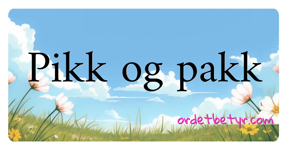 Pikk og pakk synonymer kryssord betyr forklaring og bruk