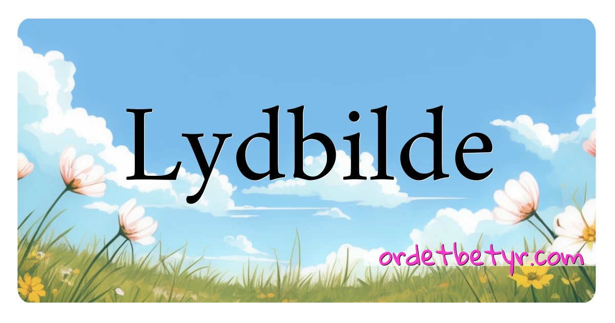 Lydbilde synonymer kryssord betyr forklaring og bruk