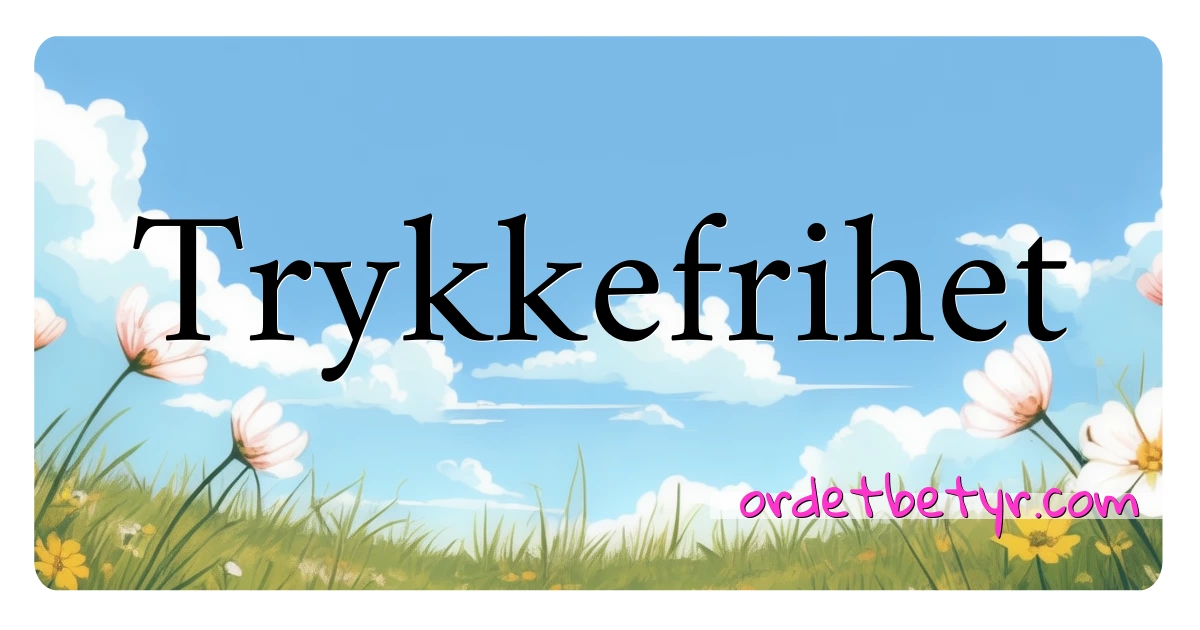 Trykkefrihet synonymer kryssord betyr forklaring og bruk