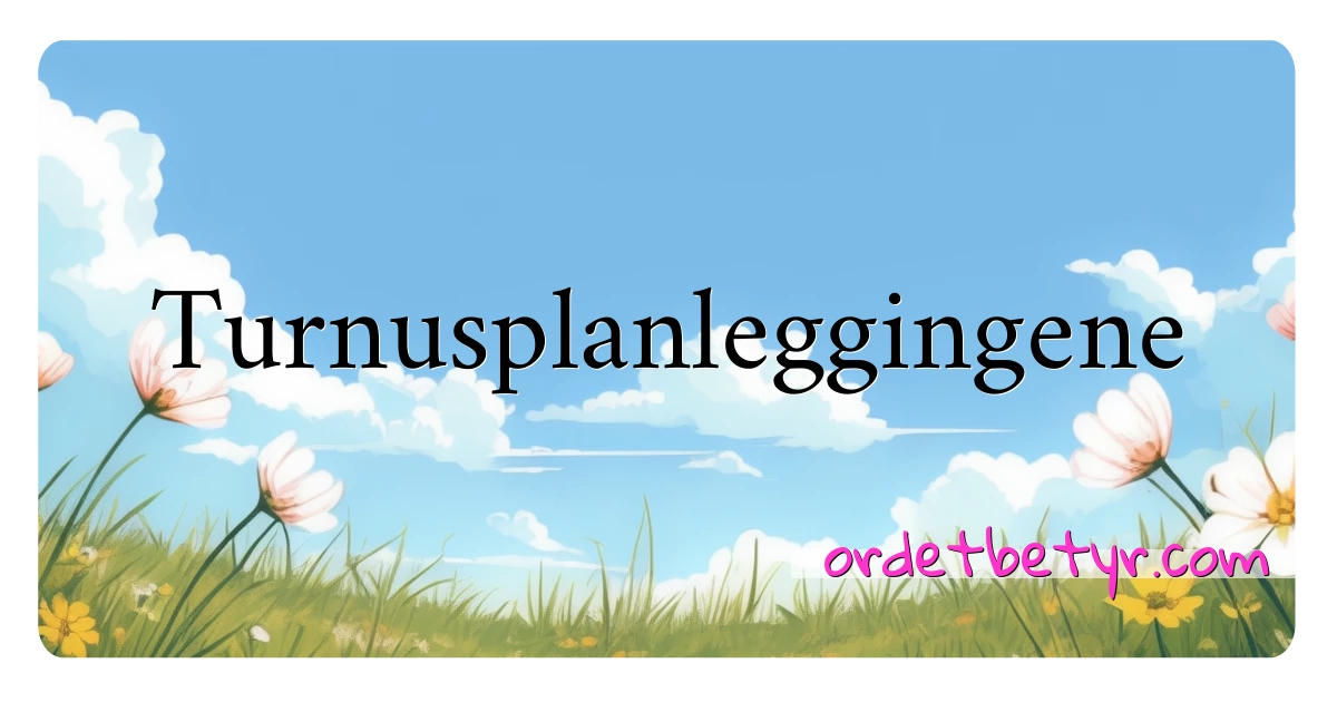 Turnusplanleggingene synonymer kryssord betyr forklaring og bruk