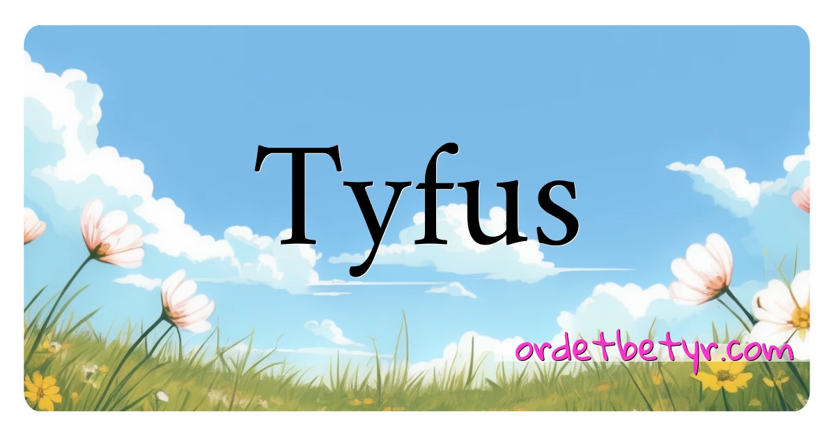 Tyfus synonymer kryssord betyr forklaring og bruk