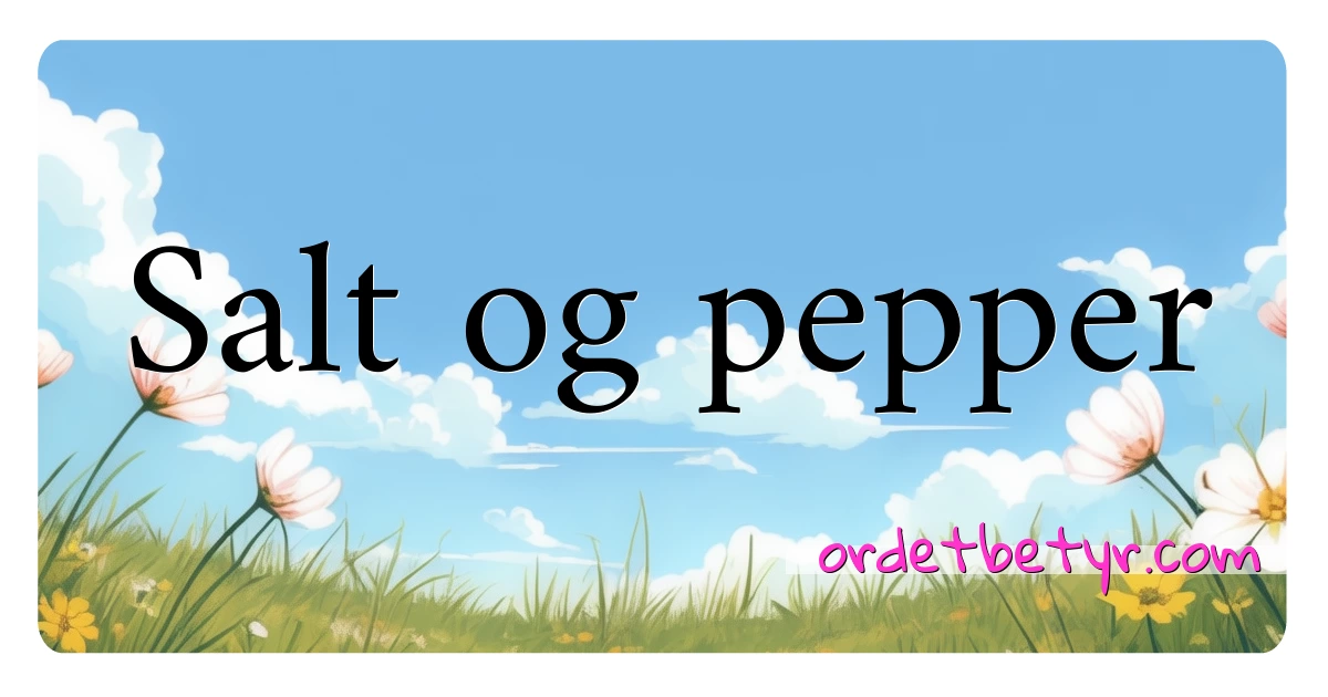 Salt og pepper synonymer kryssord betyr forklaring og bruk