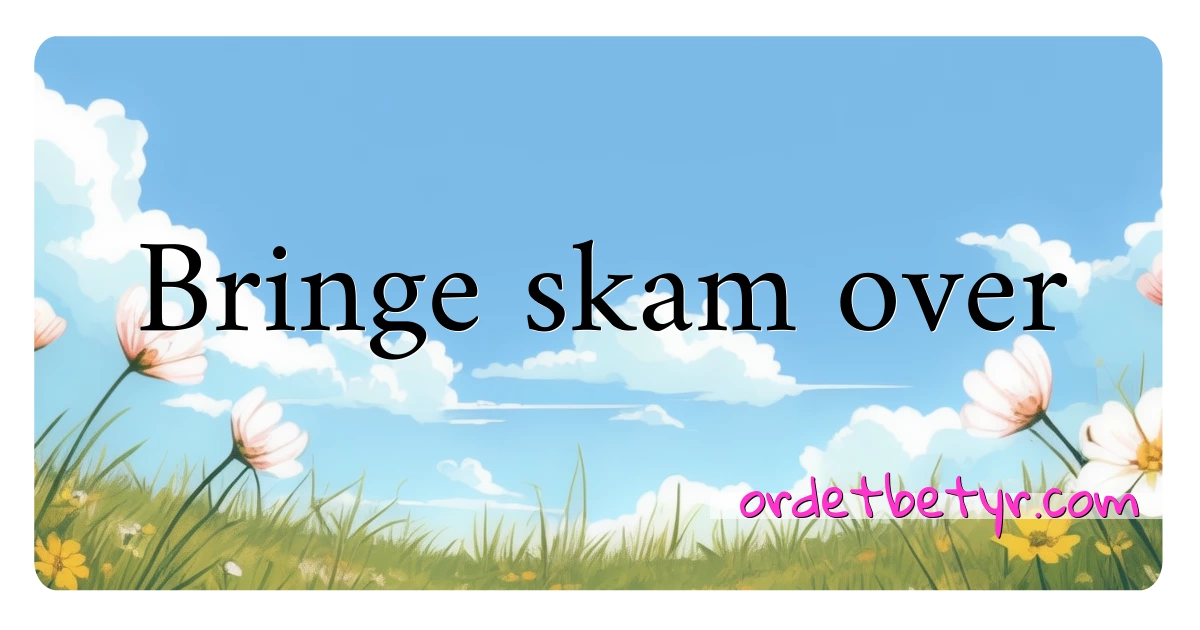 Bringe skam over synonymer kryssord betyr forklaring og bruk