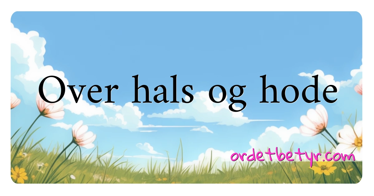 Over hals og hode synonymer kryssord betyr forklaring og bruk