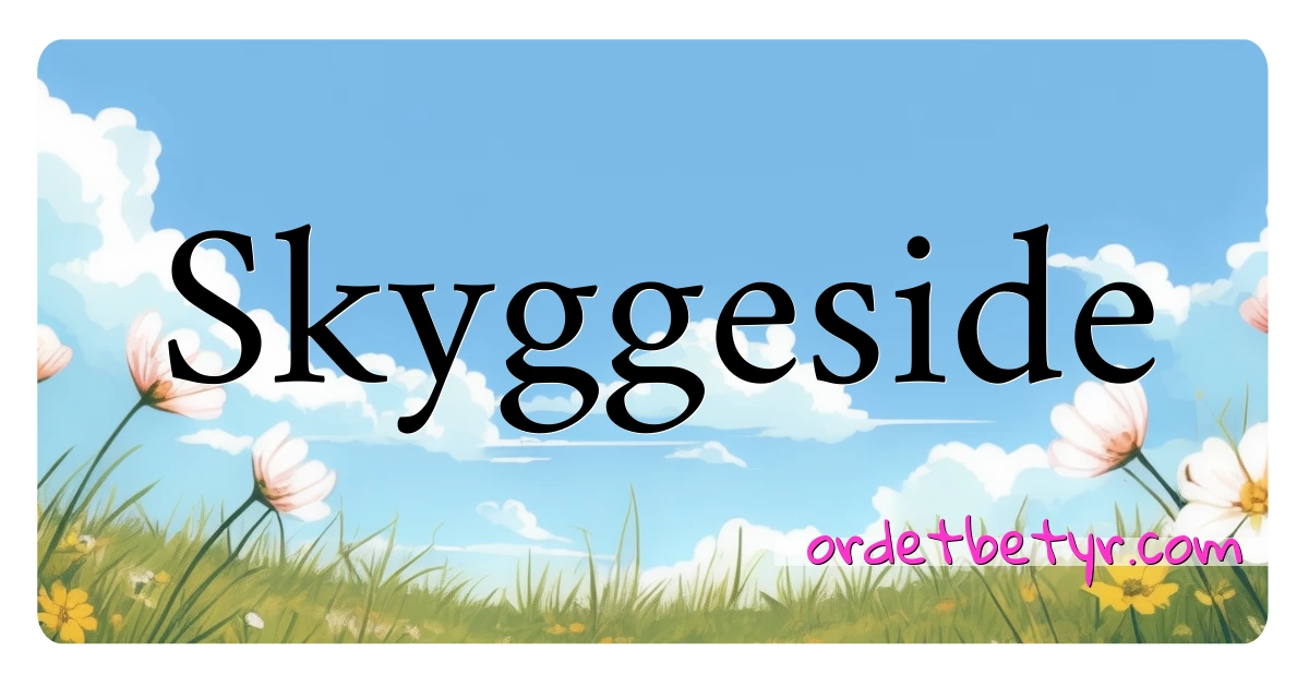 Skyggeside synonymer kryssord betyr forklaring og bruk