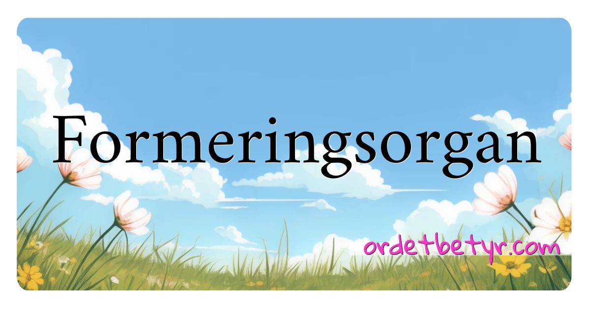 Formeringsorgan synonymer kryssord betyr forklaring og bruk