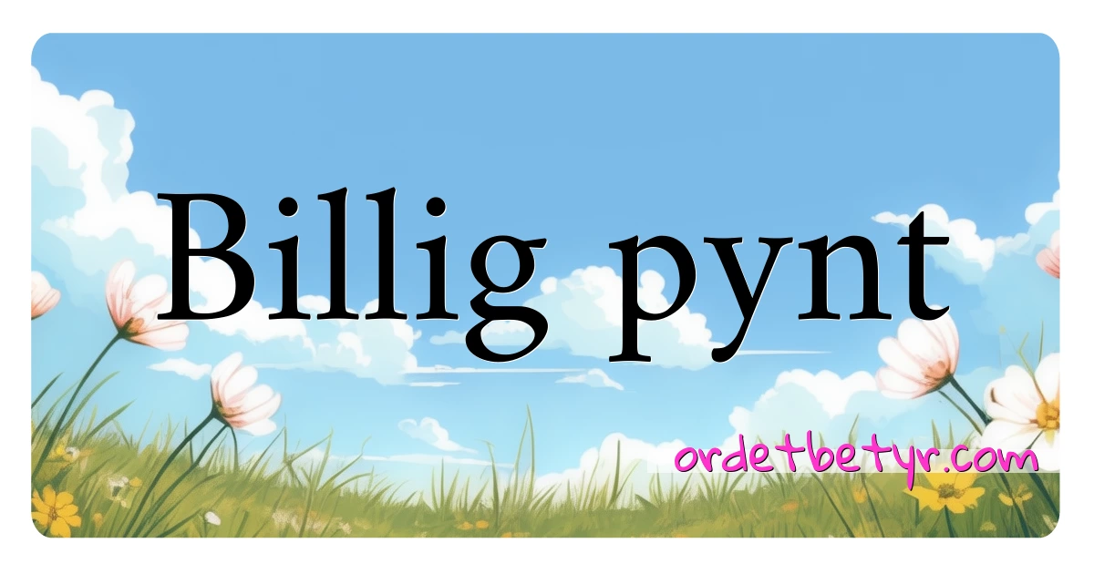 Billig pynt synonymer kryssord betyr forklaring og bruk