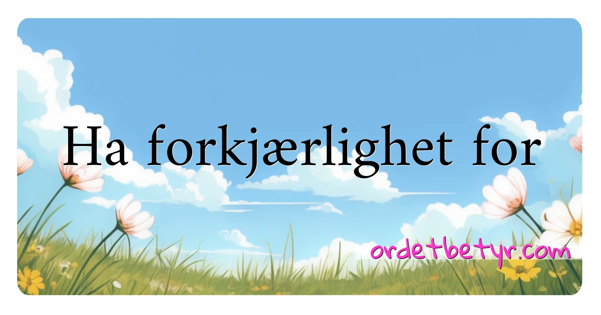 Ha forkjærlighet for synonymer kryssord betyr forklaring og bruk