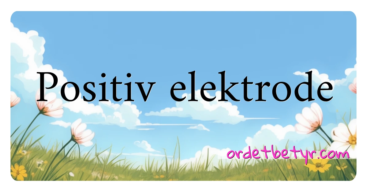 Positiv elektrode synonymer kryssord betyr forklaring og bruk