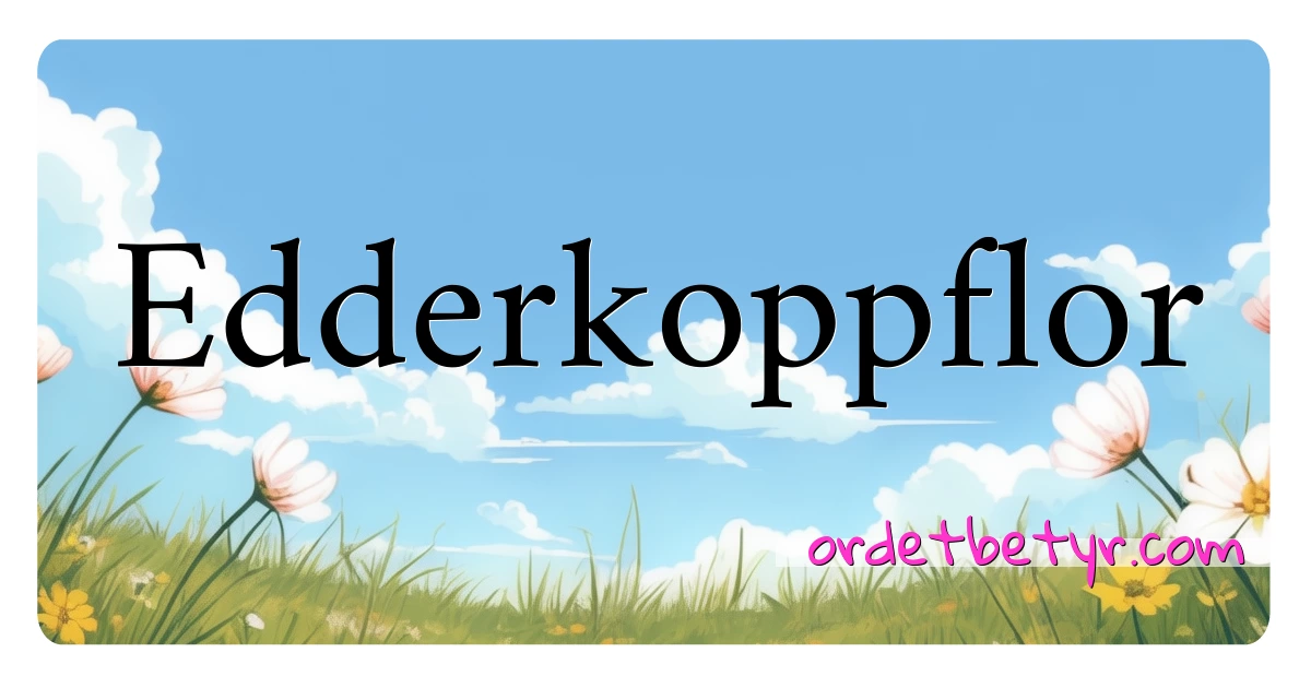 Edderkoppflor synonymer kryssord betyr forklaring og bruk