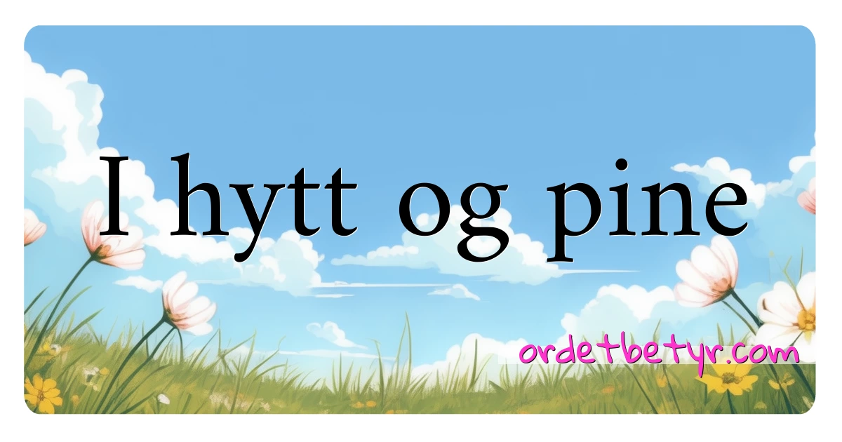 I hytt og pine synonymer kryssord betyr forklaring og bruk