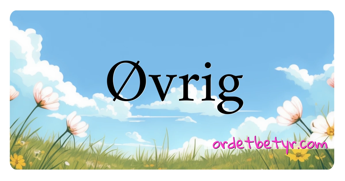 Øvrig synonymer kryssord betyr forklaring og bruk