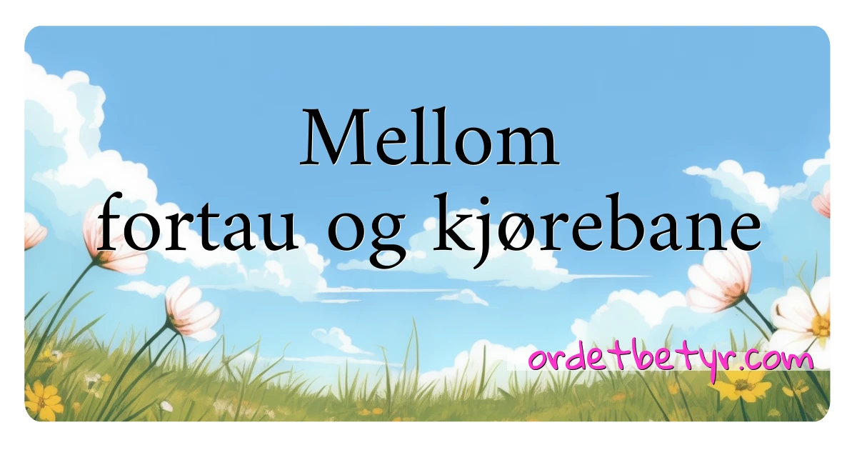 Mellom fortau og kjørebane synonymer kryssord betyr forklaring og bruk