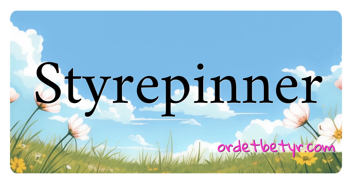 Styrepinner synonymer kryssord betyr forklaring og bruk