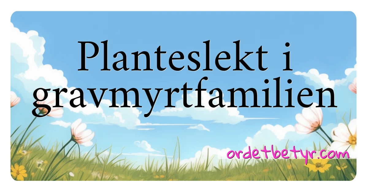 Planteslekt i gravmyrtfamilien synonymer kryssord betyr forklaring og bruk