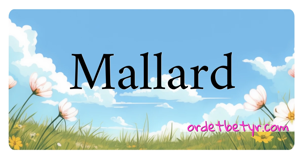 Mallard synonymer kryssord betyr forklaring og bruk