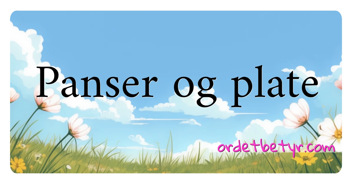 Panser og plate synonymer kryssord betyr forklaring og bruk