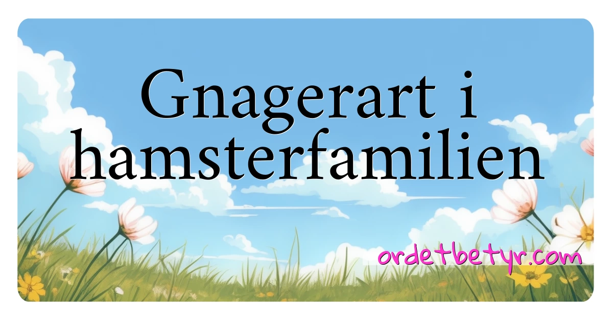 Gnagerart i hamsterfamilien synonymer kryssord betyr forklaring og bruk