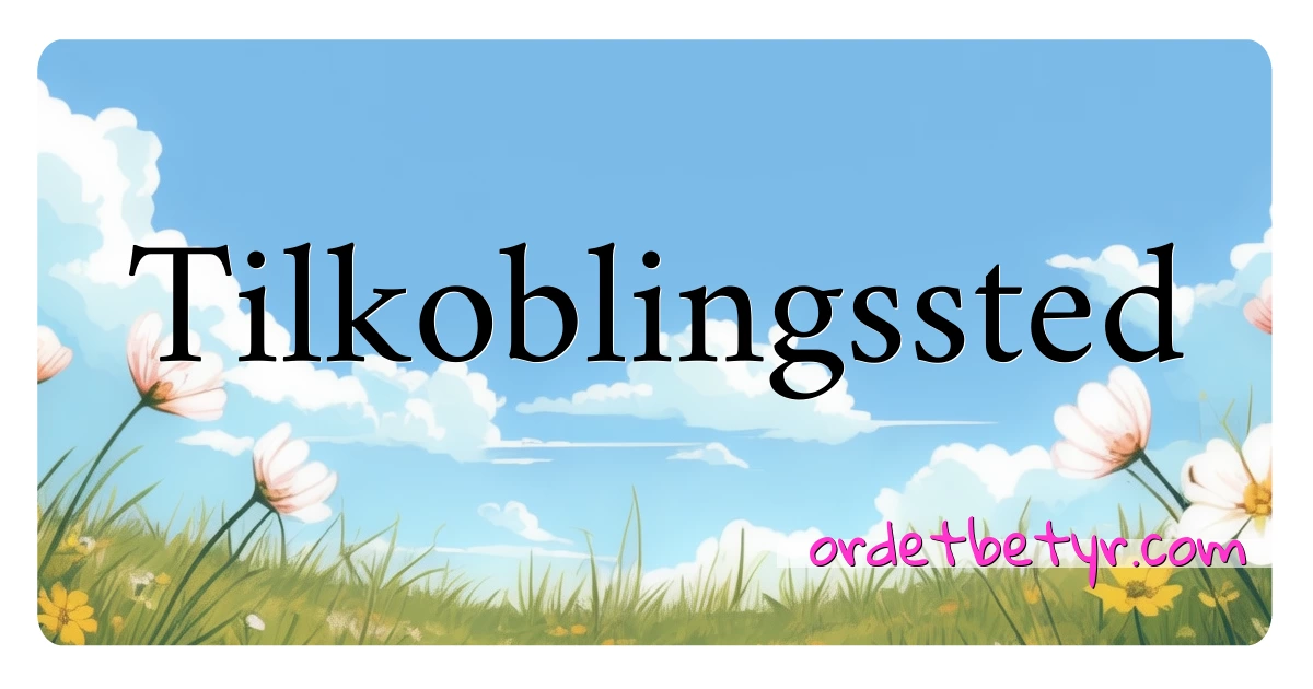 Tilkoblingssted synonymer kryssord betyr forklaring og bruk