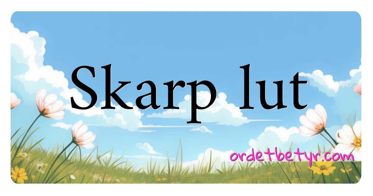 Skarp lut synonymer kryssord betyr forklaring og bruk