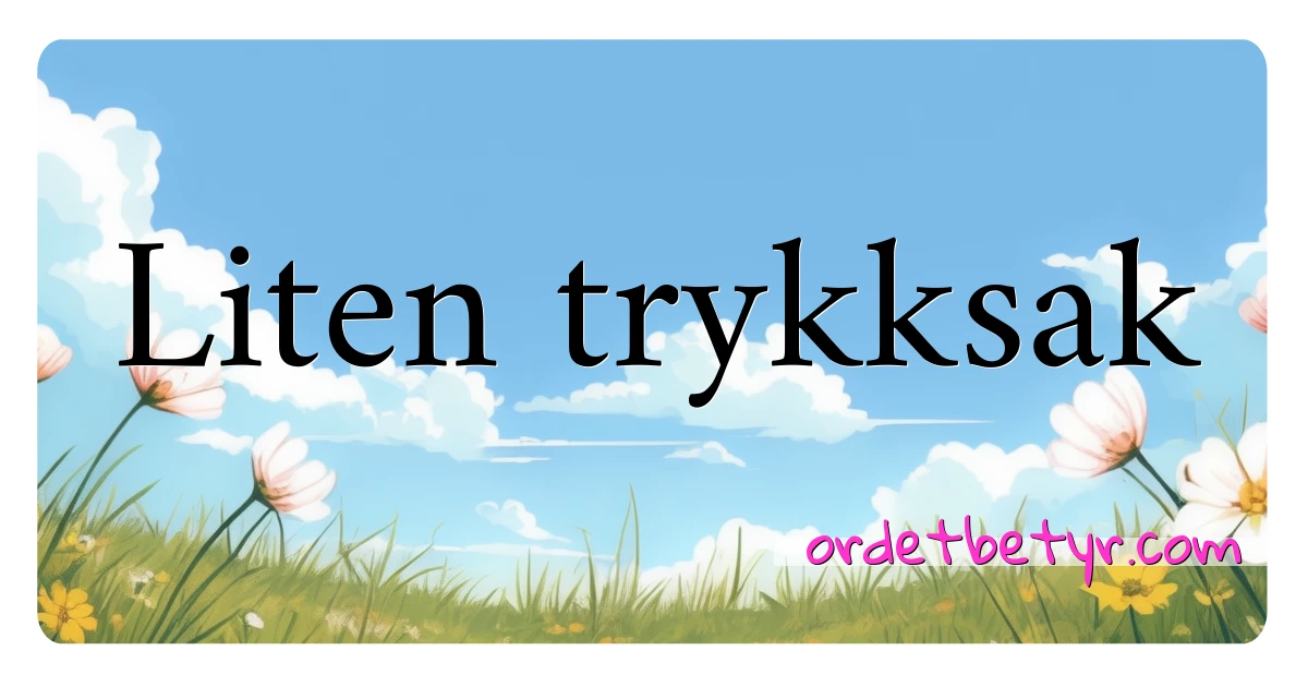 Liten trykksak synonymer kryssord betyr forklaring og bruk