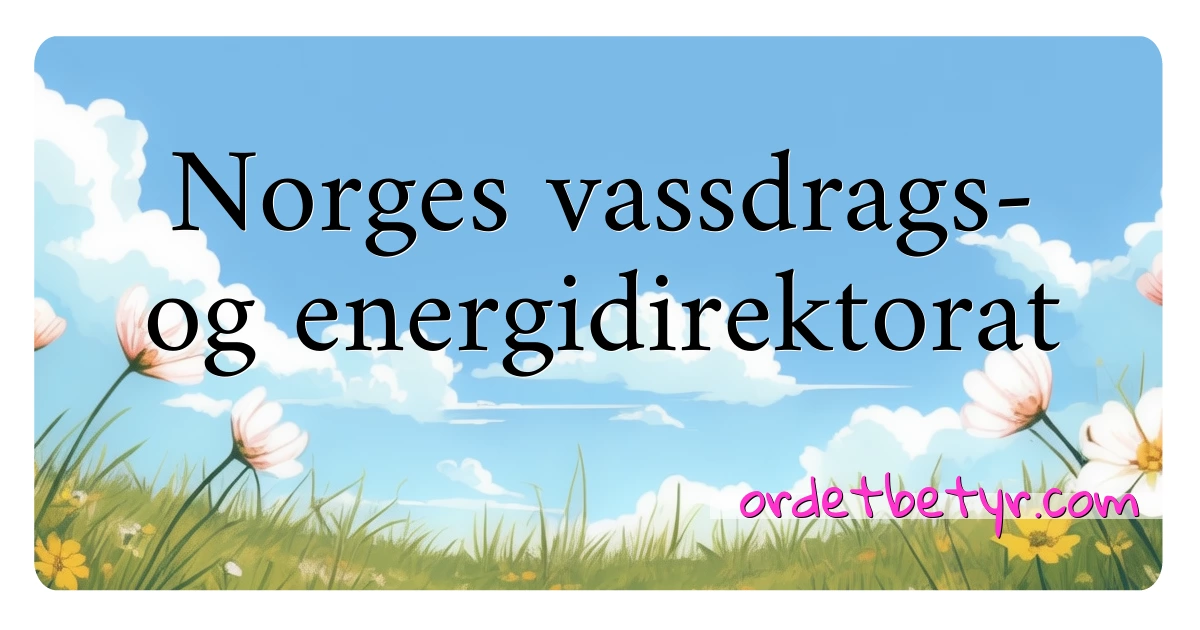 Norges vassdrags- og energidirektorat synonymer kryssord betyr forklaring og bruk