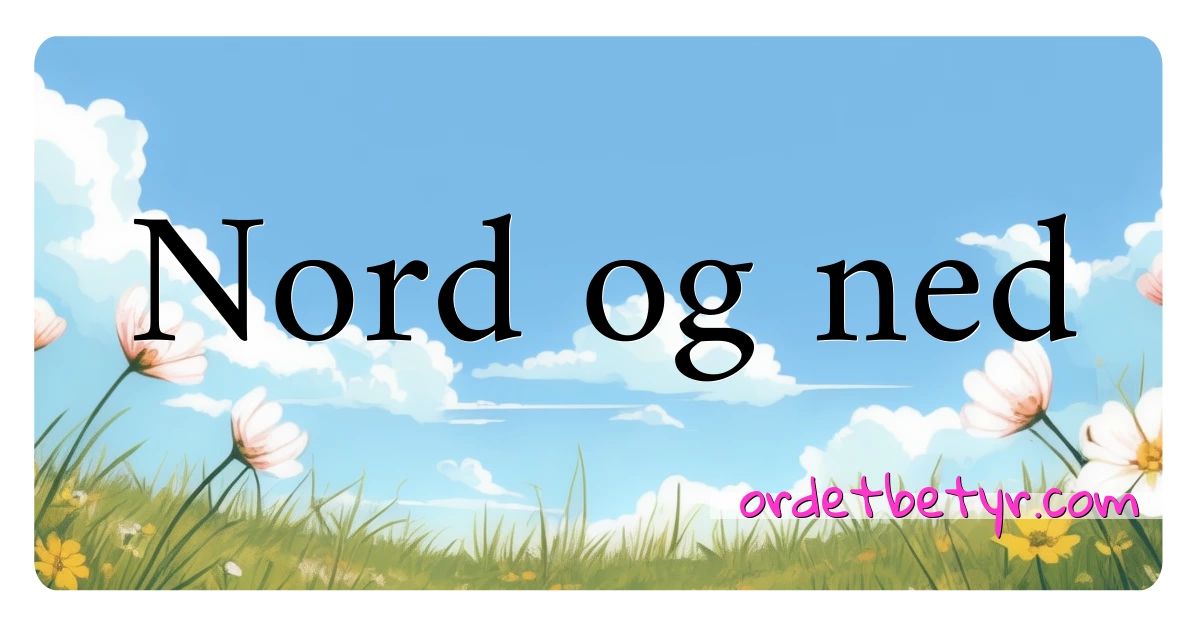 Nord og ned synonymer kryssord betyr forklaring og bruk