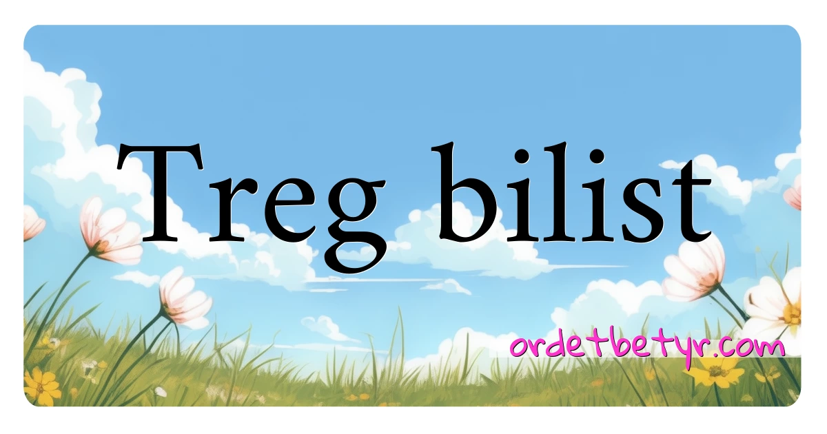 Treg bilist synonymer kryssord betyr forklaring og bruk