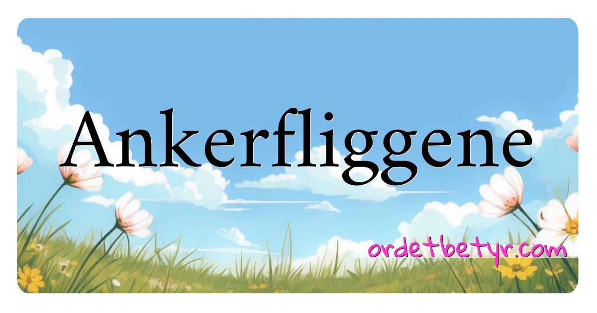 Ankerfliggene synonymer kryssord betyr forklaring og bruk