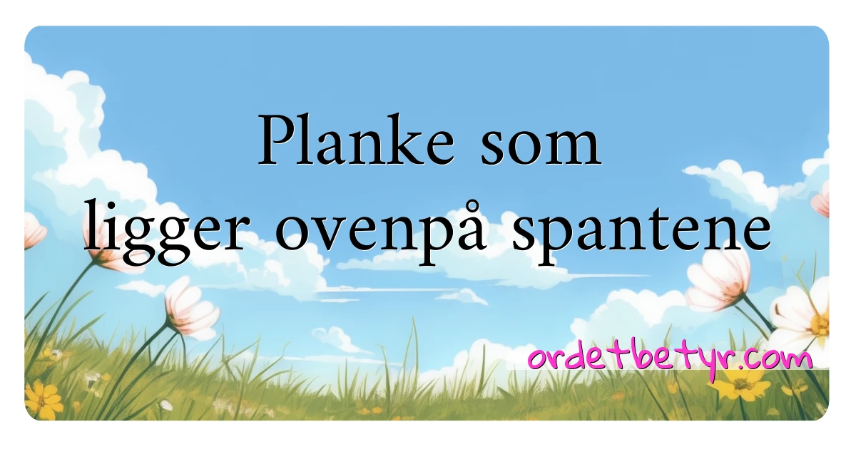 Planke som ligger ovenpå spantene synonymer kryssord betyr forklaring og bruk