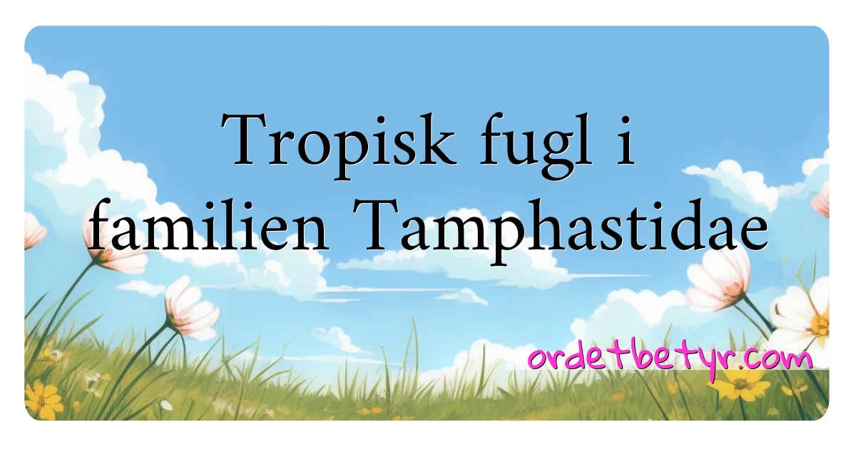 Tropisk fugl i familien Tamphastidae synonymer kryssord betyr forklaring og bruk