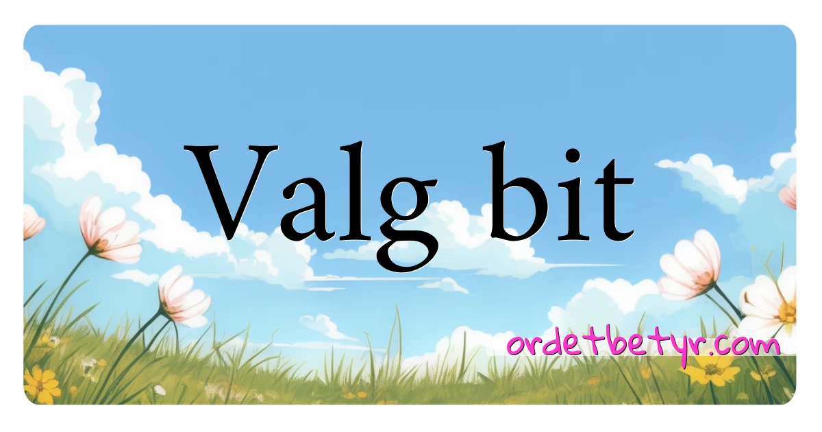 Valg bit synonymer kryssord betyr forklaring og bruk