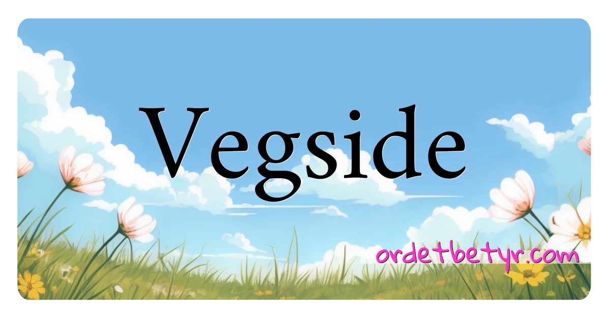 Vegside synonymer kryssord betyr forklaring og bruk