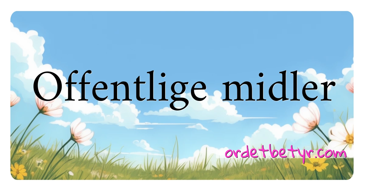 Offentlige midler synonymer kryssord betyr forklaring og bruk