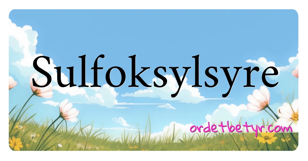 Sulfoksylsyre synonymer kryssord betyr forklaring og bruk