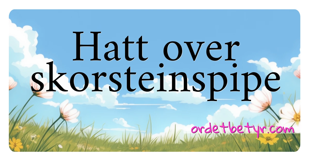 Hatt over skorsteinspipe synonymer kryssord betyr forklaring og bruk