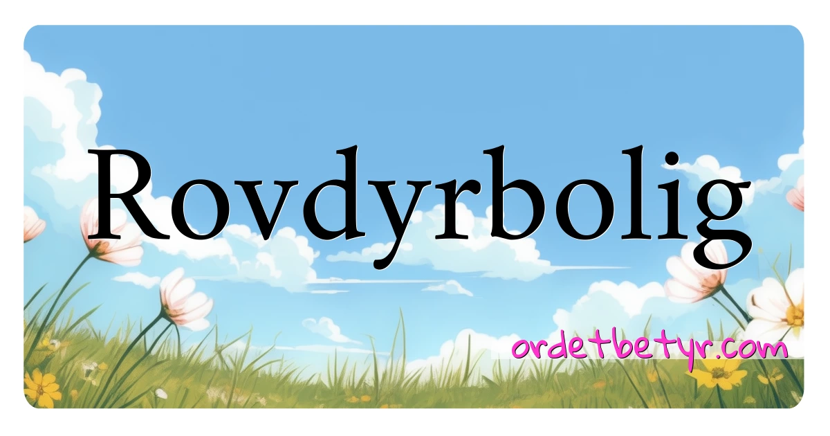 Rovdyrbolig synonymer kryssord betyr forklaring og bruk