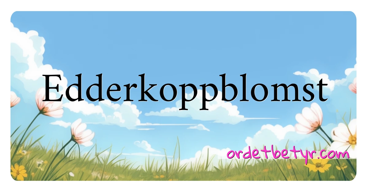 Edderkoppblomst synonymer kryssord betyr forklaring og bruk