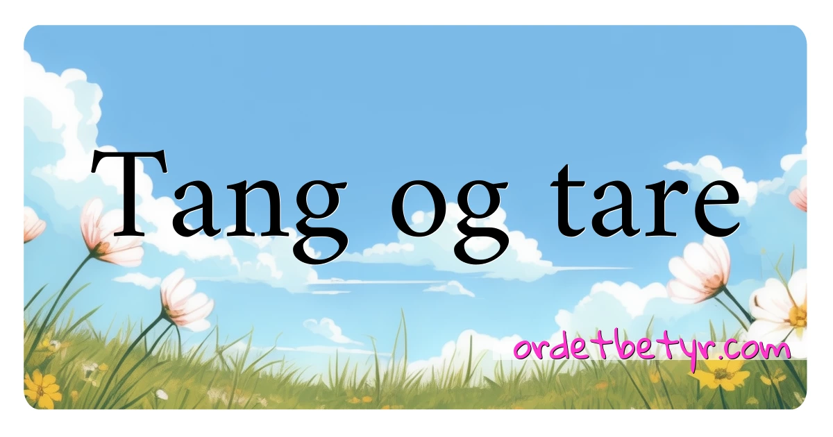 Tang og tare synonymer kryssord betyr forklaring og bruk