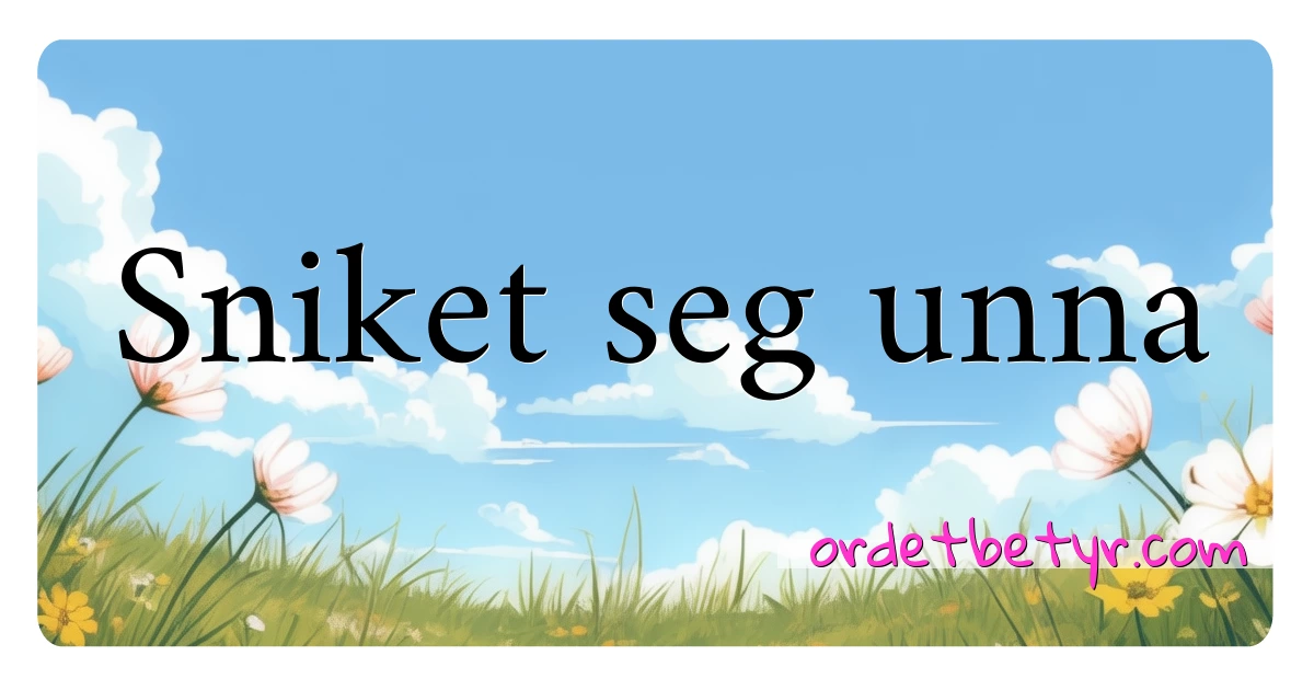 Sniket seg unna synonymer kryssord betyr forklaring og bruk