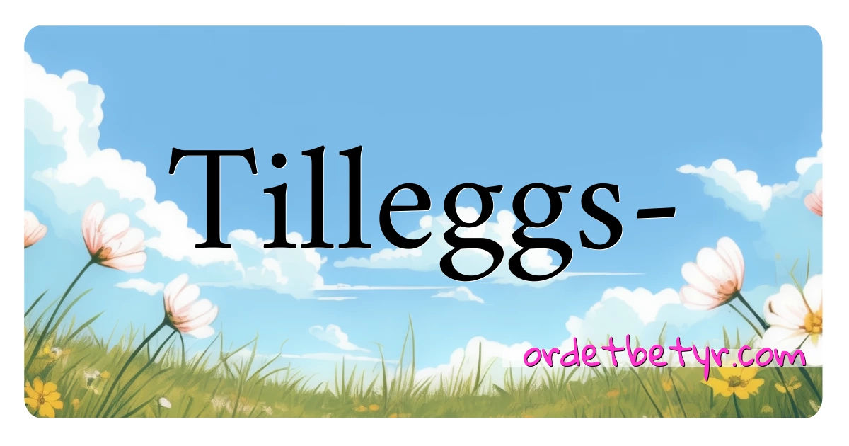 Tilleggs- synonymer kryssord betyr forklaring og bruk