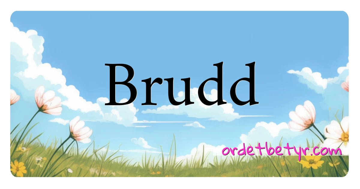 Brudd synonymer kryssord betyr forklaring og bruk